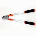 B FOARFECA TLS CRENGI PORTO TESIT C39-1
