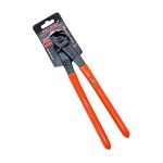 B CLESTE FIERAR 250 C329-4